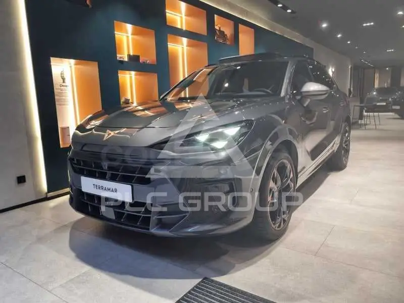 2026 Cupra Other