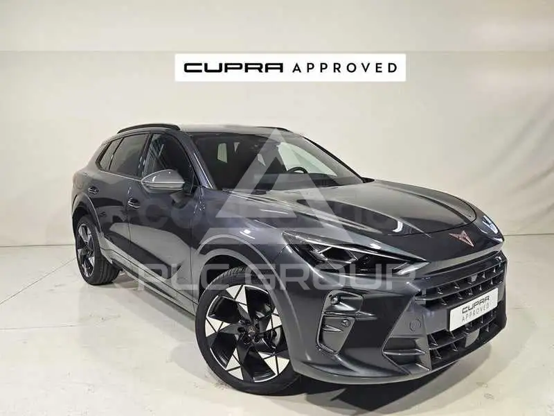 2026 Cupra Other