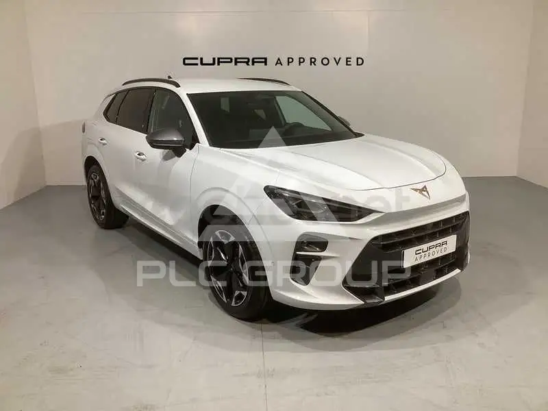 2026 Cupra Other