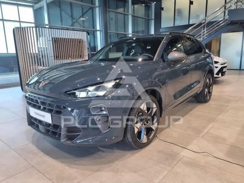2026 Cupra Other