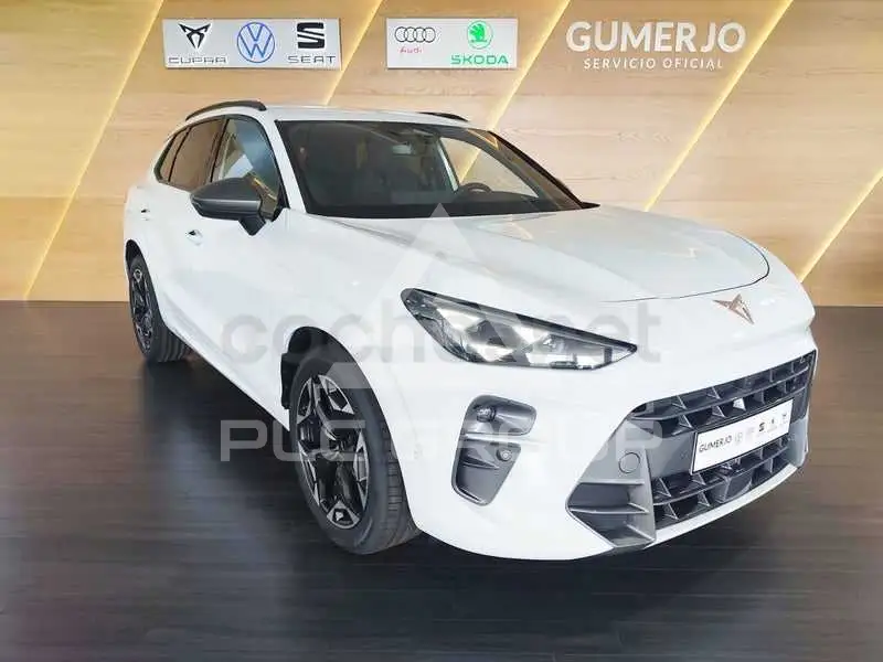 2026 Cupra Other