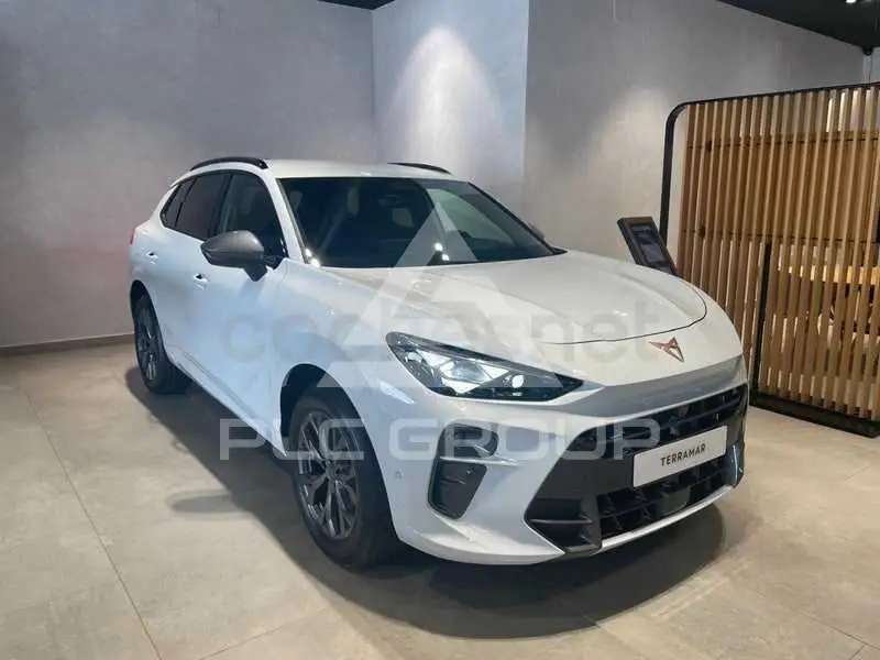 2026 Cupra Other