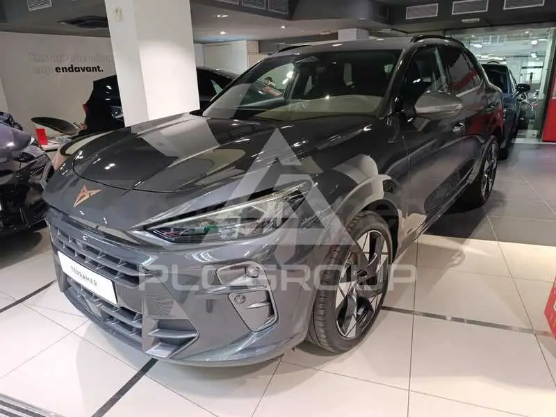 2026 Cupra Other