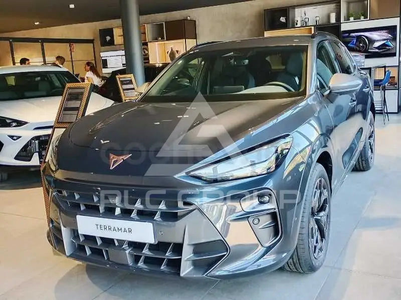 2026 Cupra Other