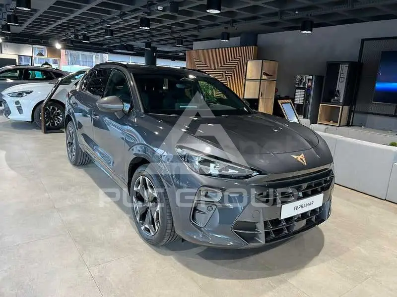 2026 Cupra Other