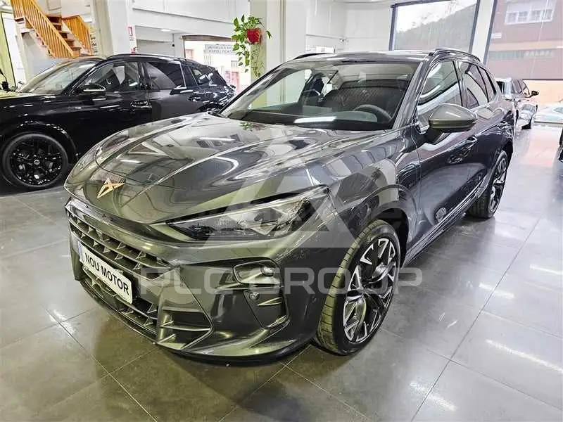 2026 Cupra Other