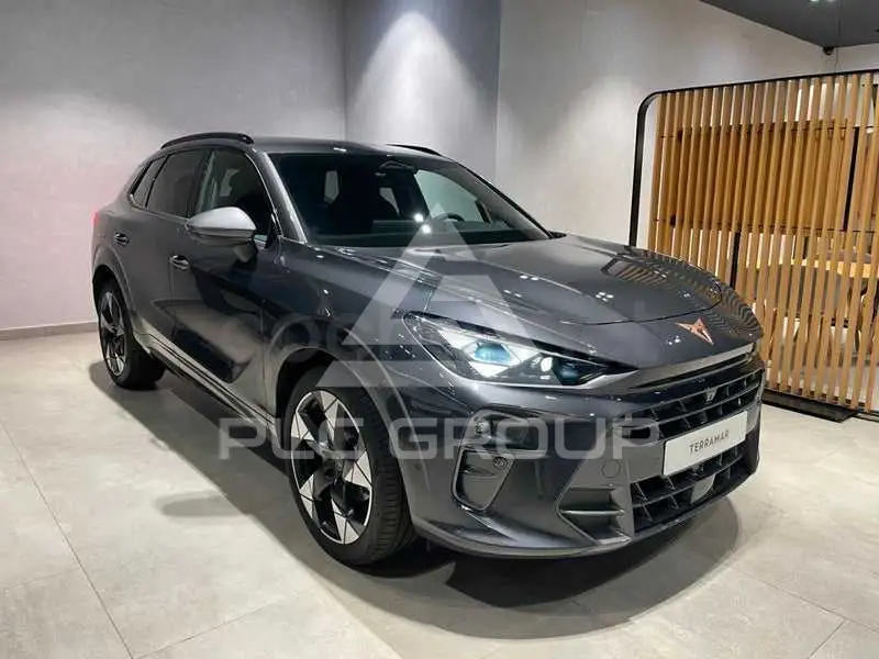 2026 Cupra Other