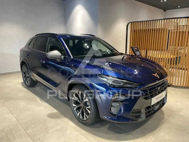 2026 Cupra Other