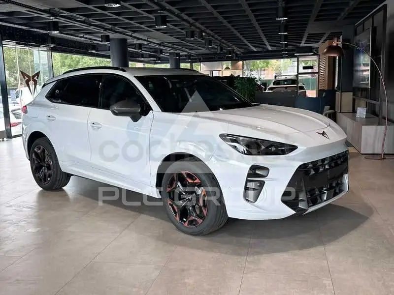 2026 Cupra Other