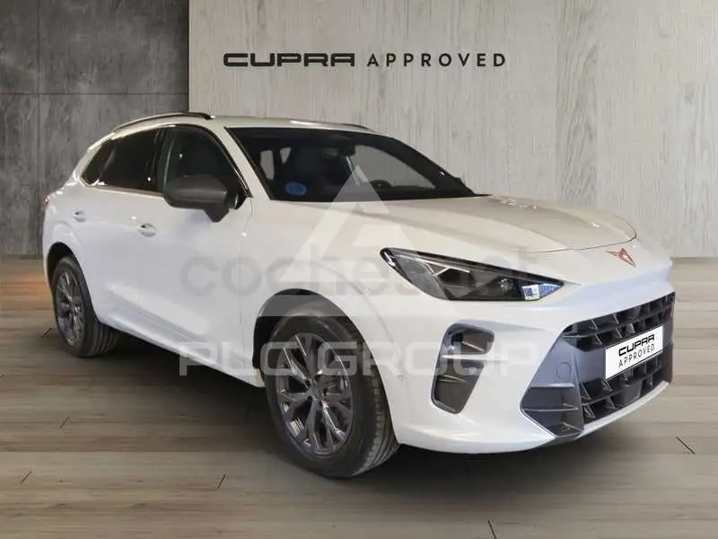 2026 Cupra Other