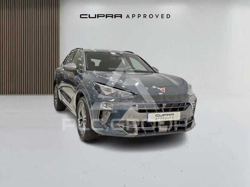 2026 Cupra Other