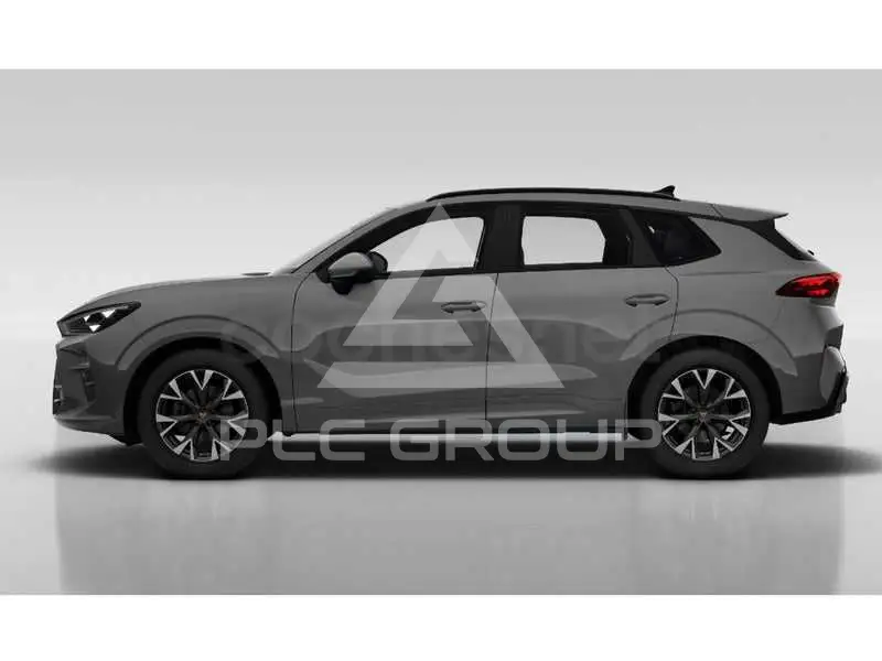 2026 Cupra Other