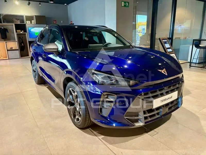 2026 Cupra Other