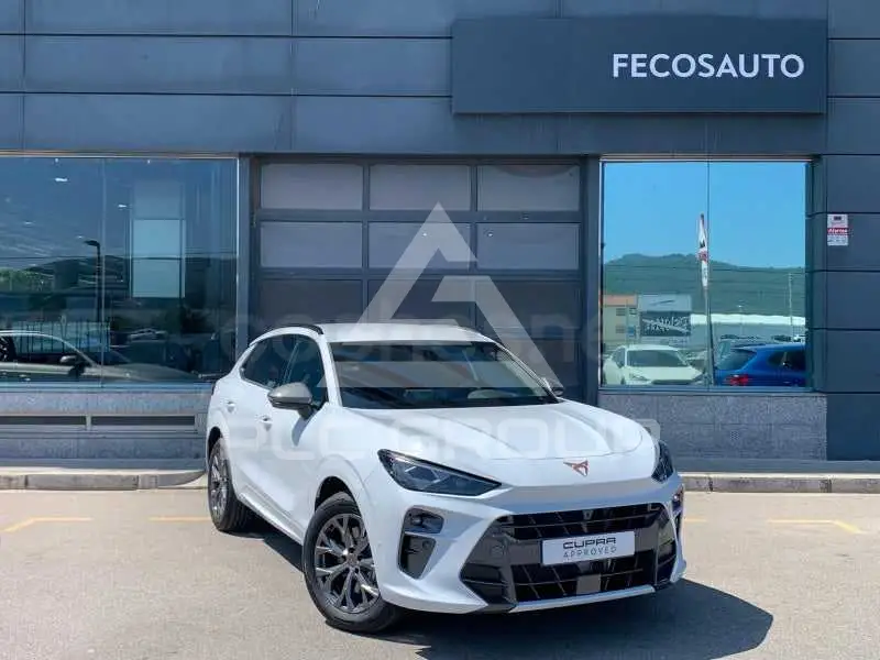 2026 Cupra Other
