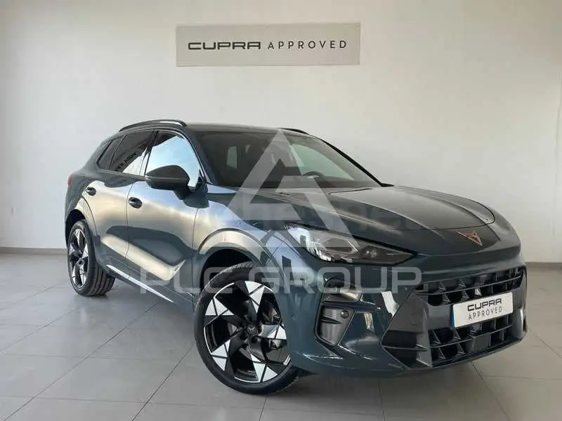 2026 Cupra Other