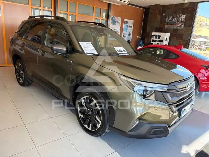 2026 Subaru Forester