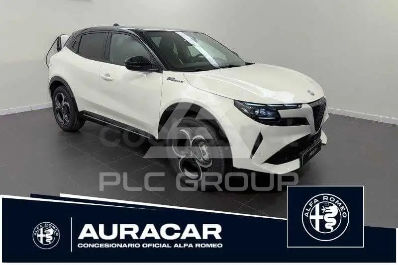 2026 Alfa Romeo Other