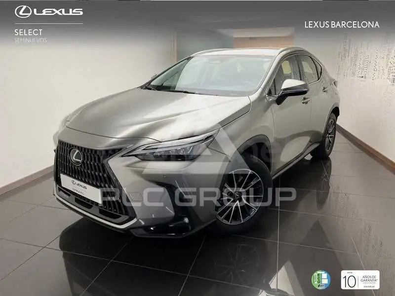 2026 Lexus NX
