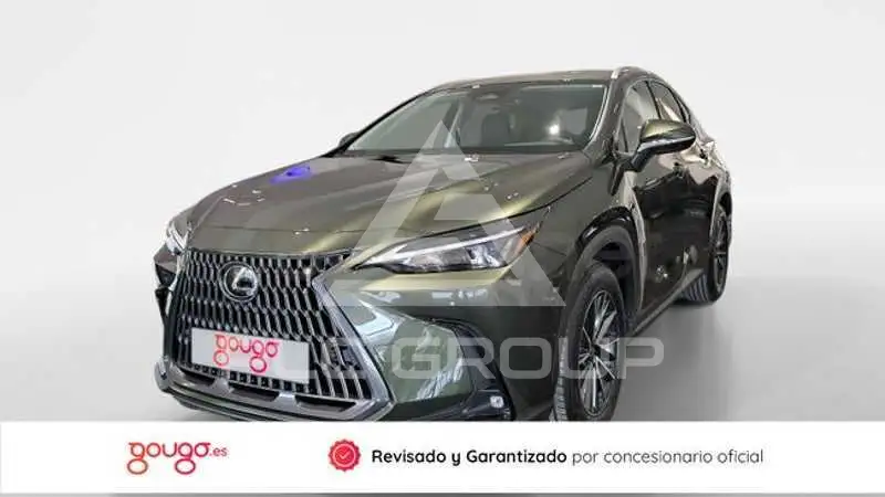 2026 Lexus NX
