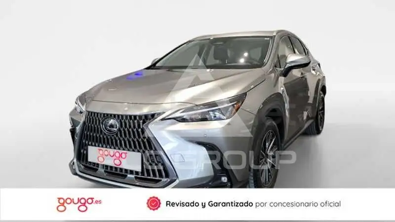 2026 Lexus NX