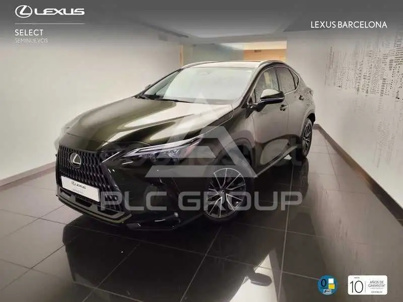 2026 Lexus NX
