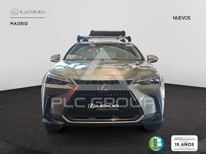 2026 Lexus NX