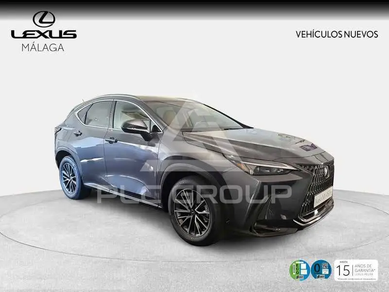 2026 Lexus NX