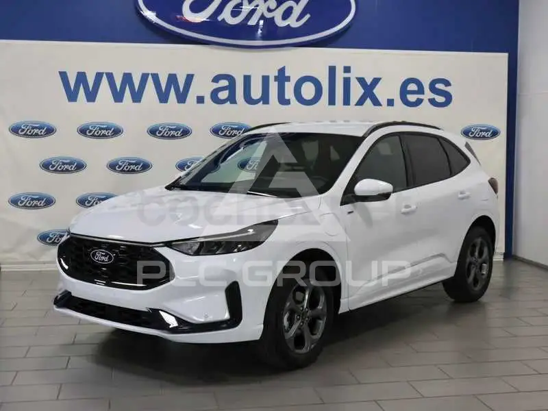 2026 Ford Kuga