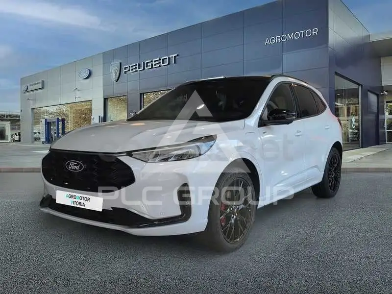 2026 Ford Kuga