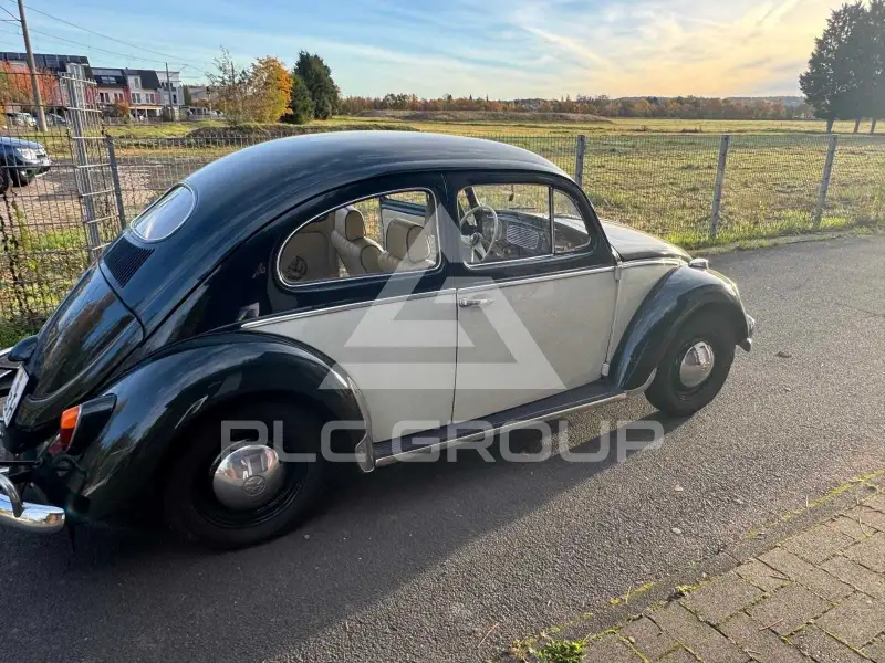 1953 Volkswagen BEETLE