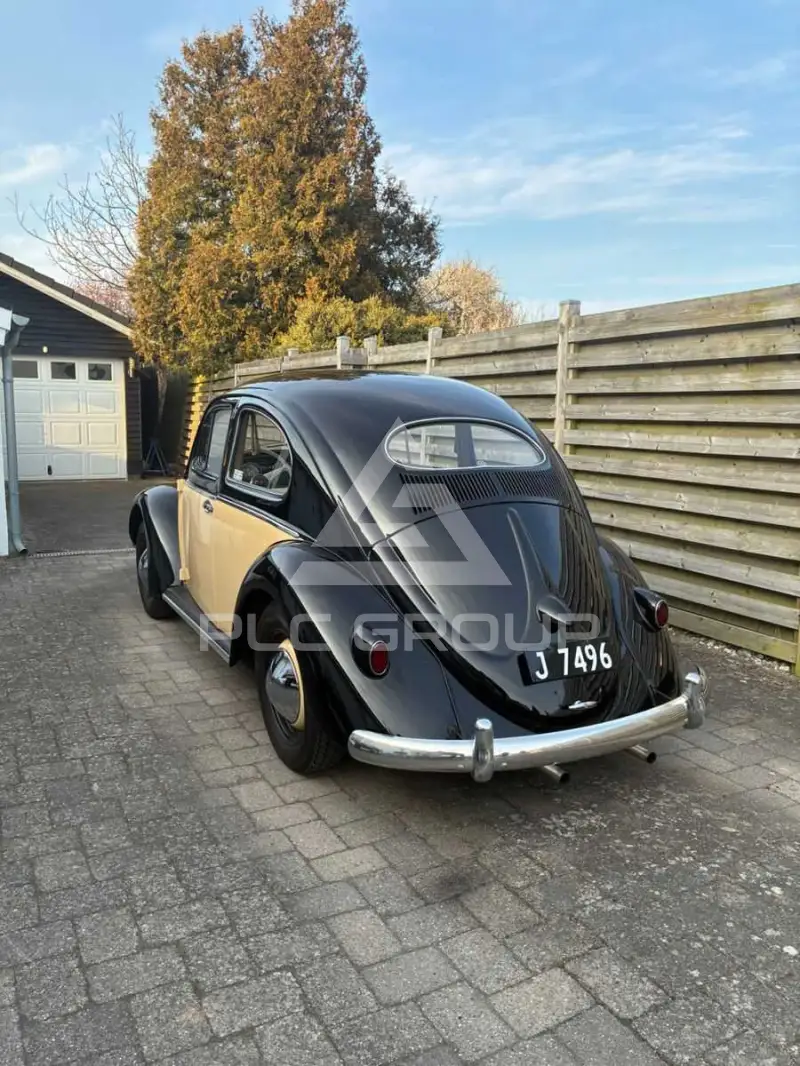 1955 Volkswagen BEETLE