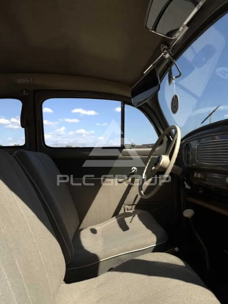 1956 Volkswagen BEETLE
