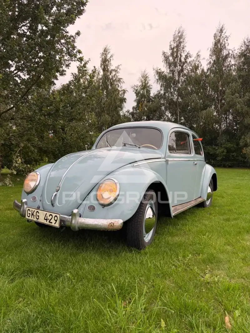 1956 Volkswagen BEETLE