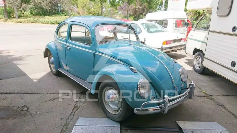 1961 Volkswagen BEETLE