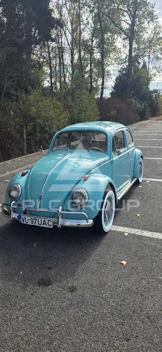 1962 Volkswagen BEETLE