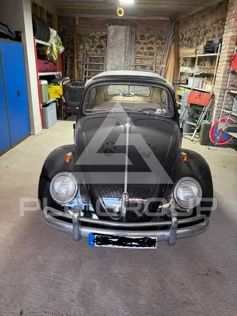1962 Volkswagen BEETLE