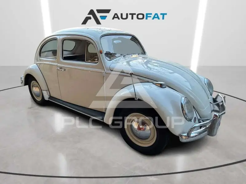 1964 Volkswagen Others