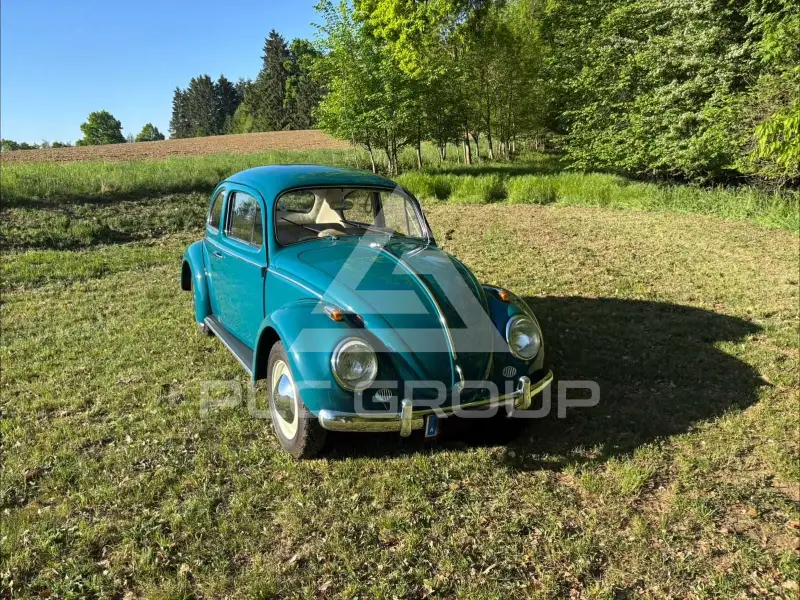 1964 Volkswagen BEETLE