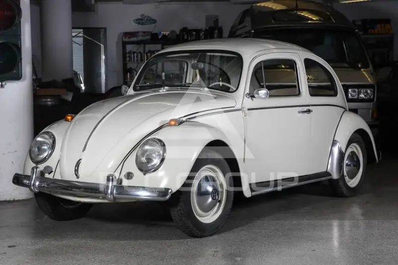 1964 Volkswagen BEETLE