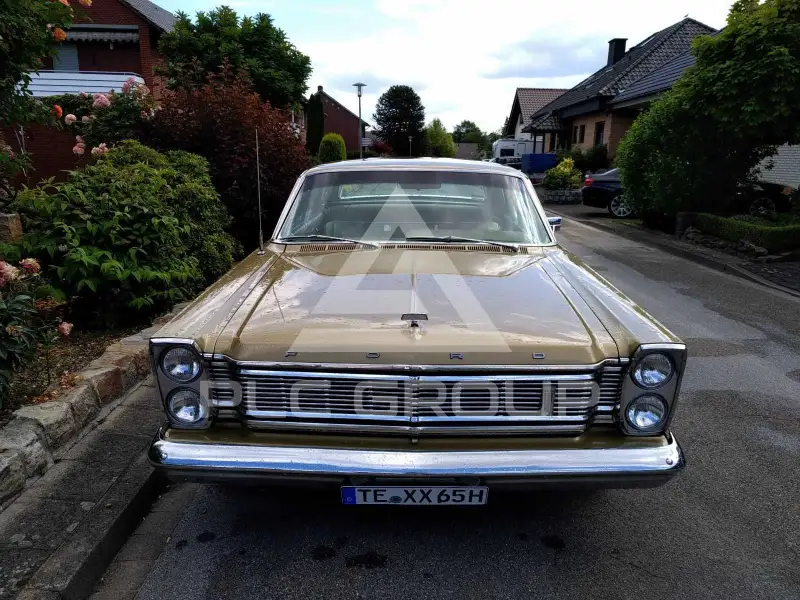 1965 Ford Other