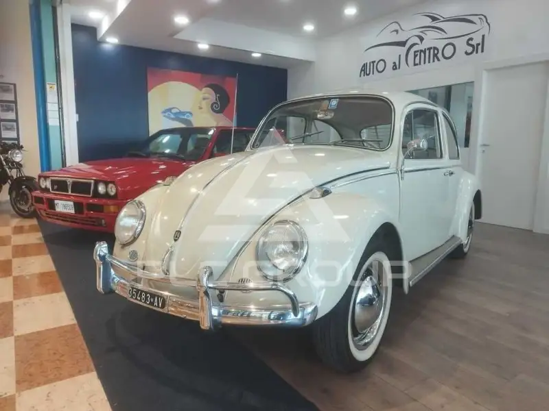 1965 Volkswagen 