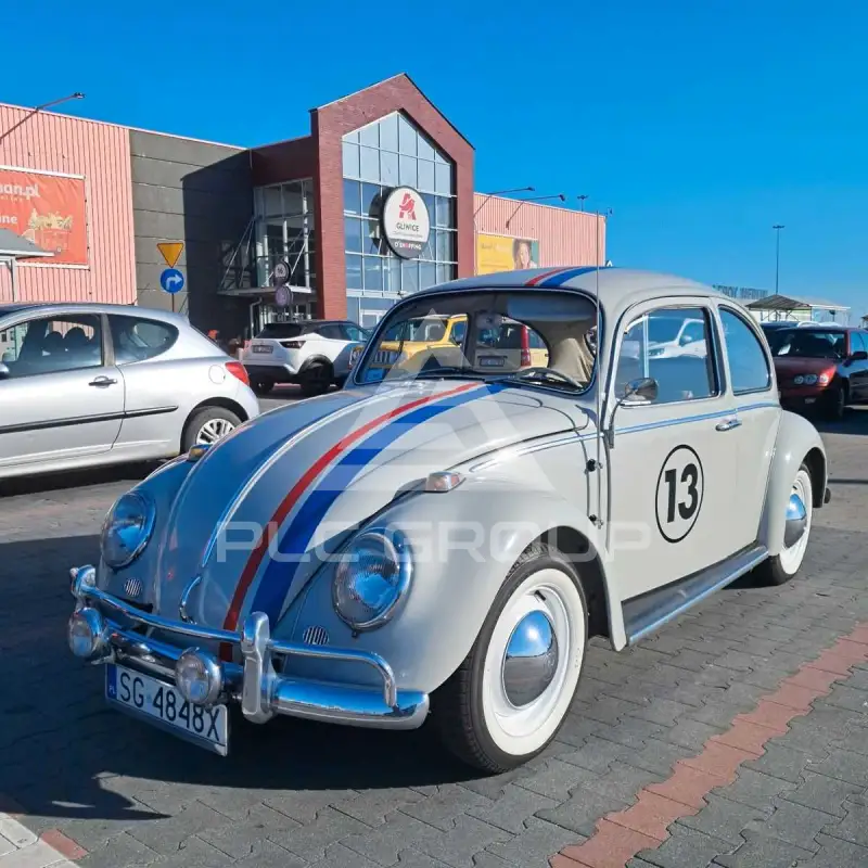 1965 Volkswagen 