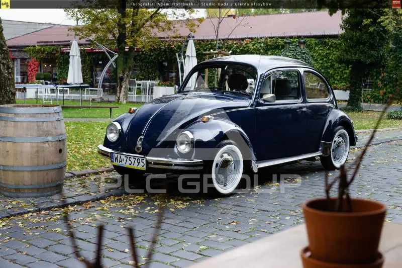 1965 Volkswagen BEETLE