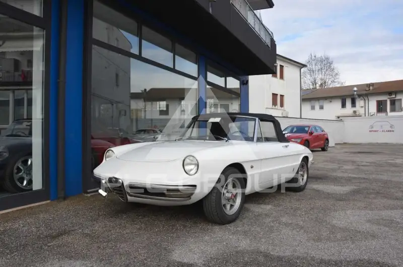 1966 Alfa Romeo Spider