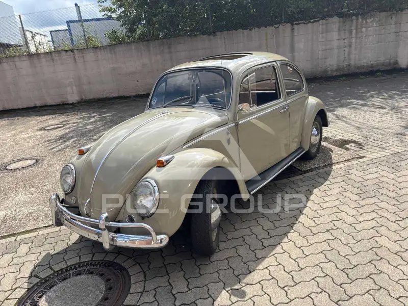 1966 Volkswagen BEETLE