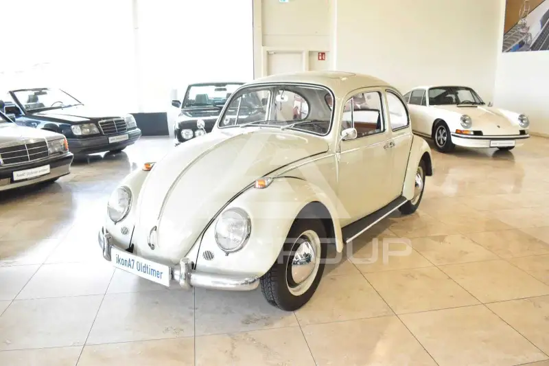 1966 Volkswagen BEETLE