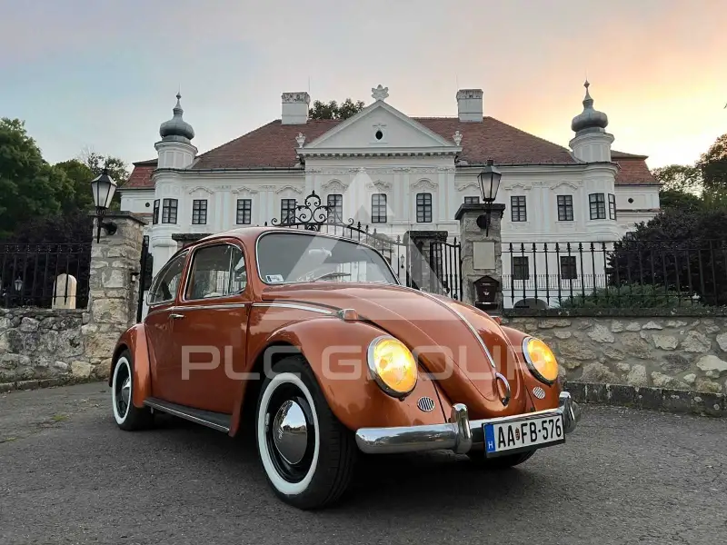 1966 Volkswagen BEETLE