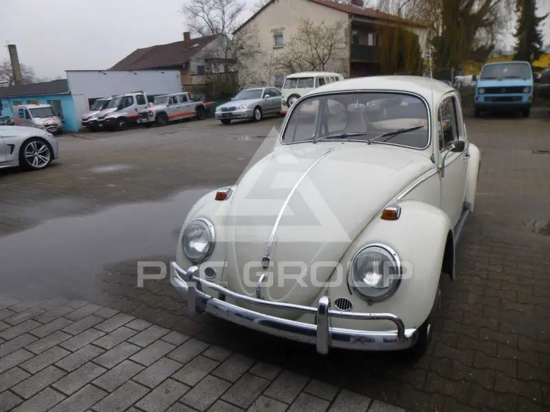 1966 Volkswagen BEETLE