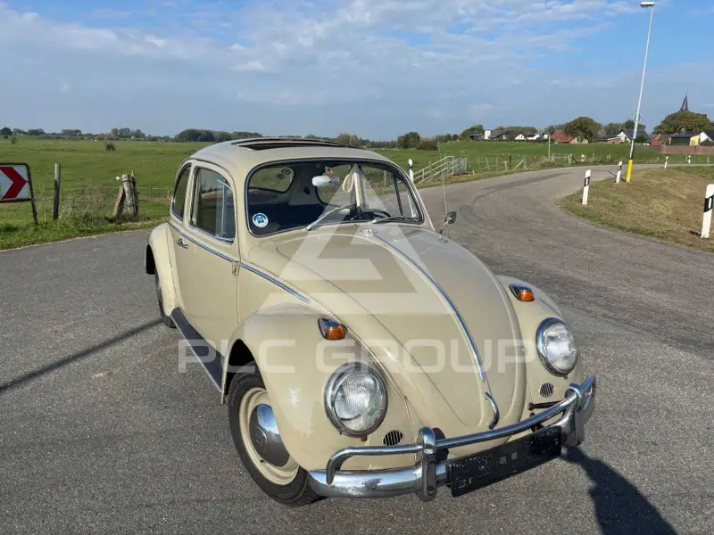 1966 Volkswagen BEETLE