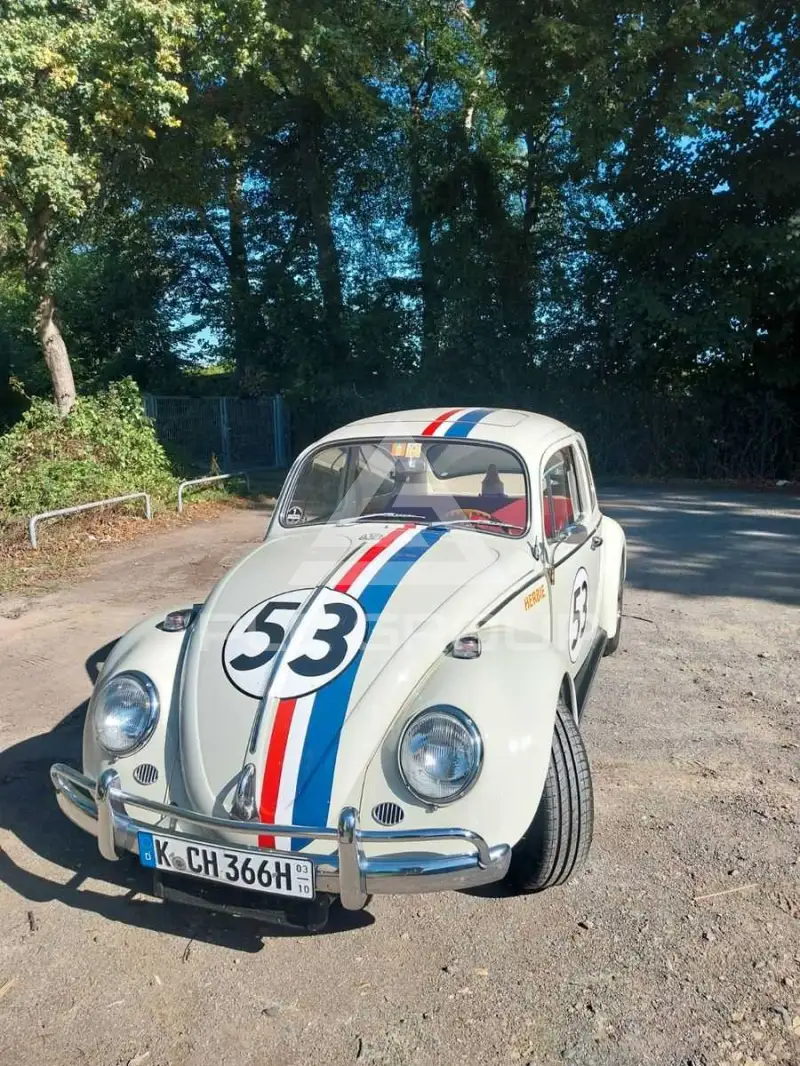 1966 Volkswagen BEETLE